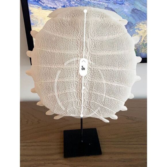 Tortuga Shell Sculpture - Picture 5 of 5